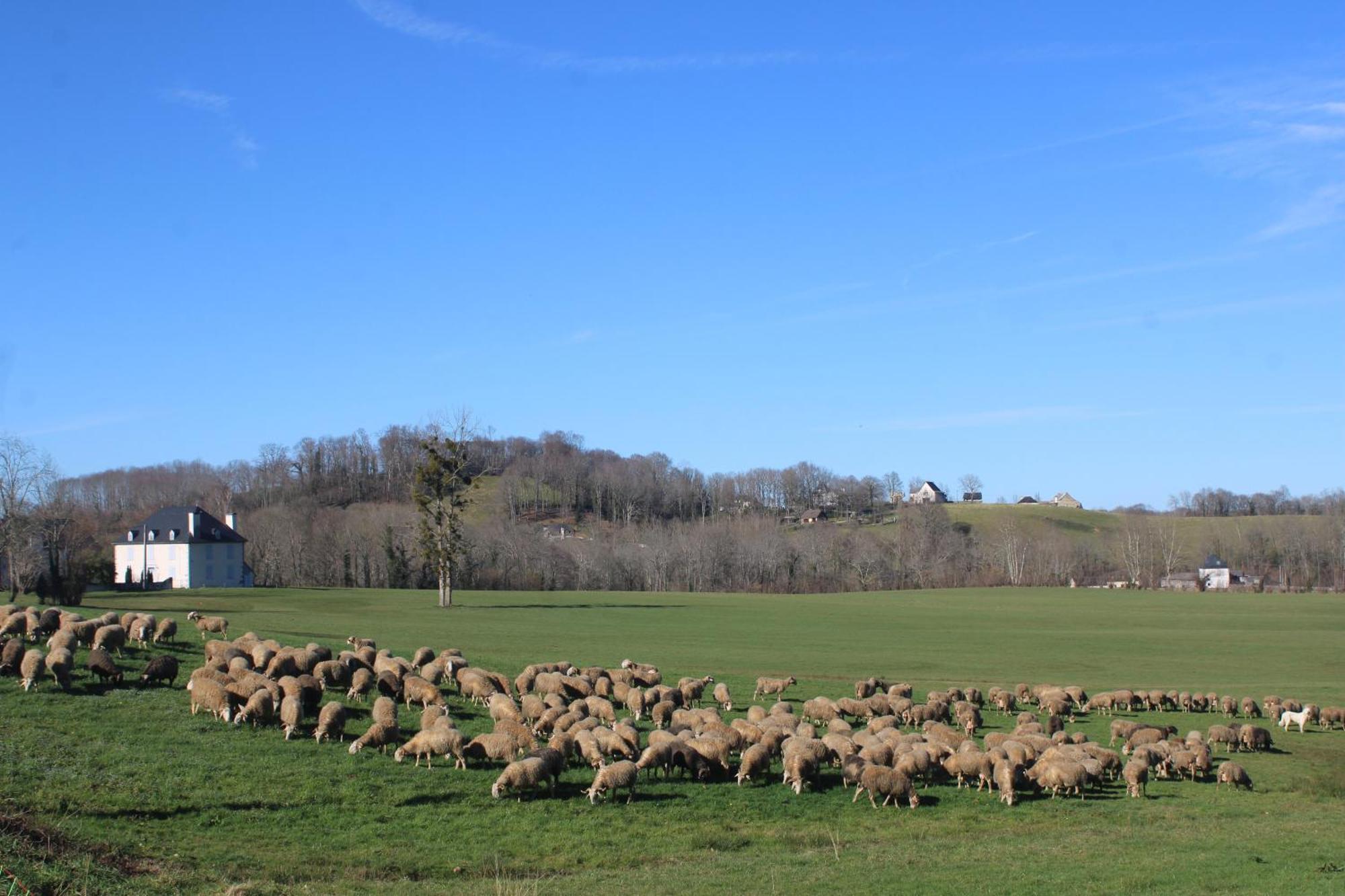 Gite Maison Chourrist Capbis Buitenkant foto