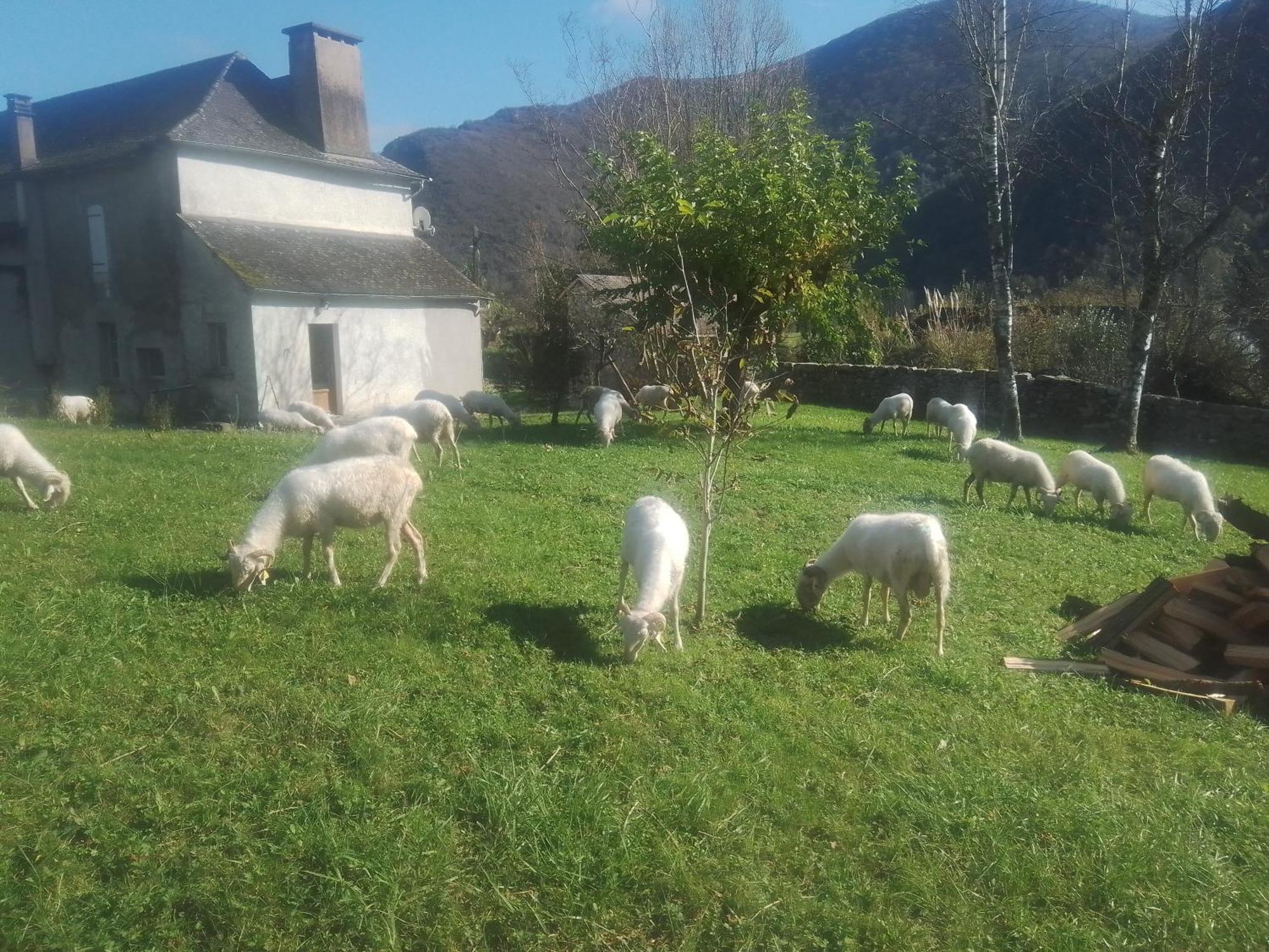 Gite Maison Chourrist Capbis Buitenkant foto